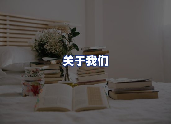 专业团队